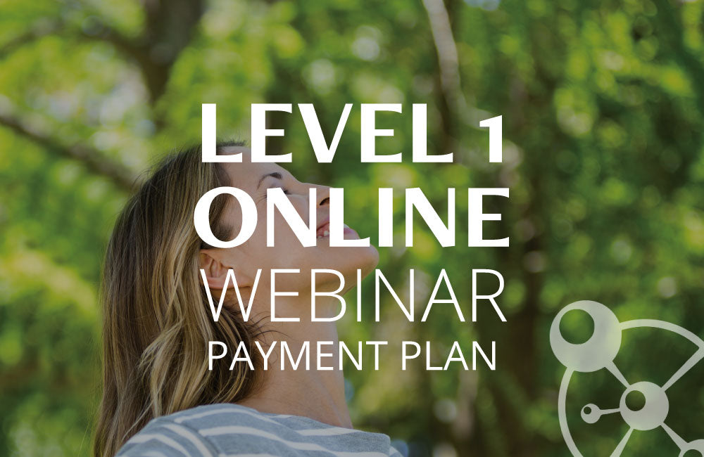 Level 1 Online - English (Webinar Payment Plan)